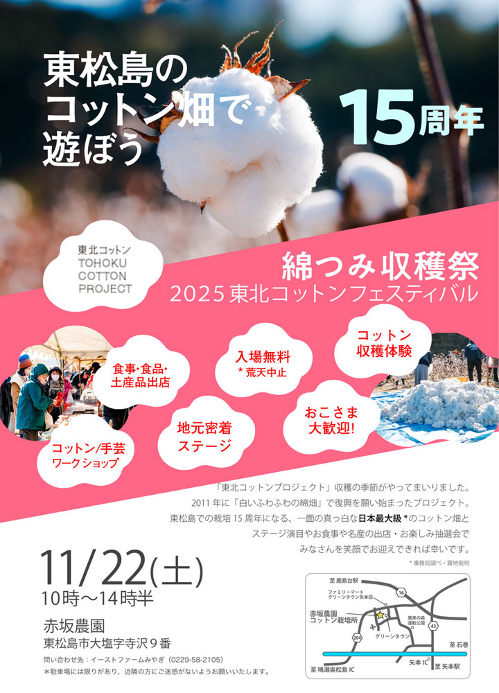 まもなく綿の収穫時期です。